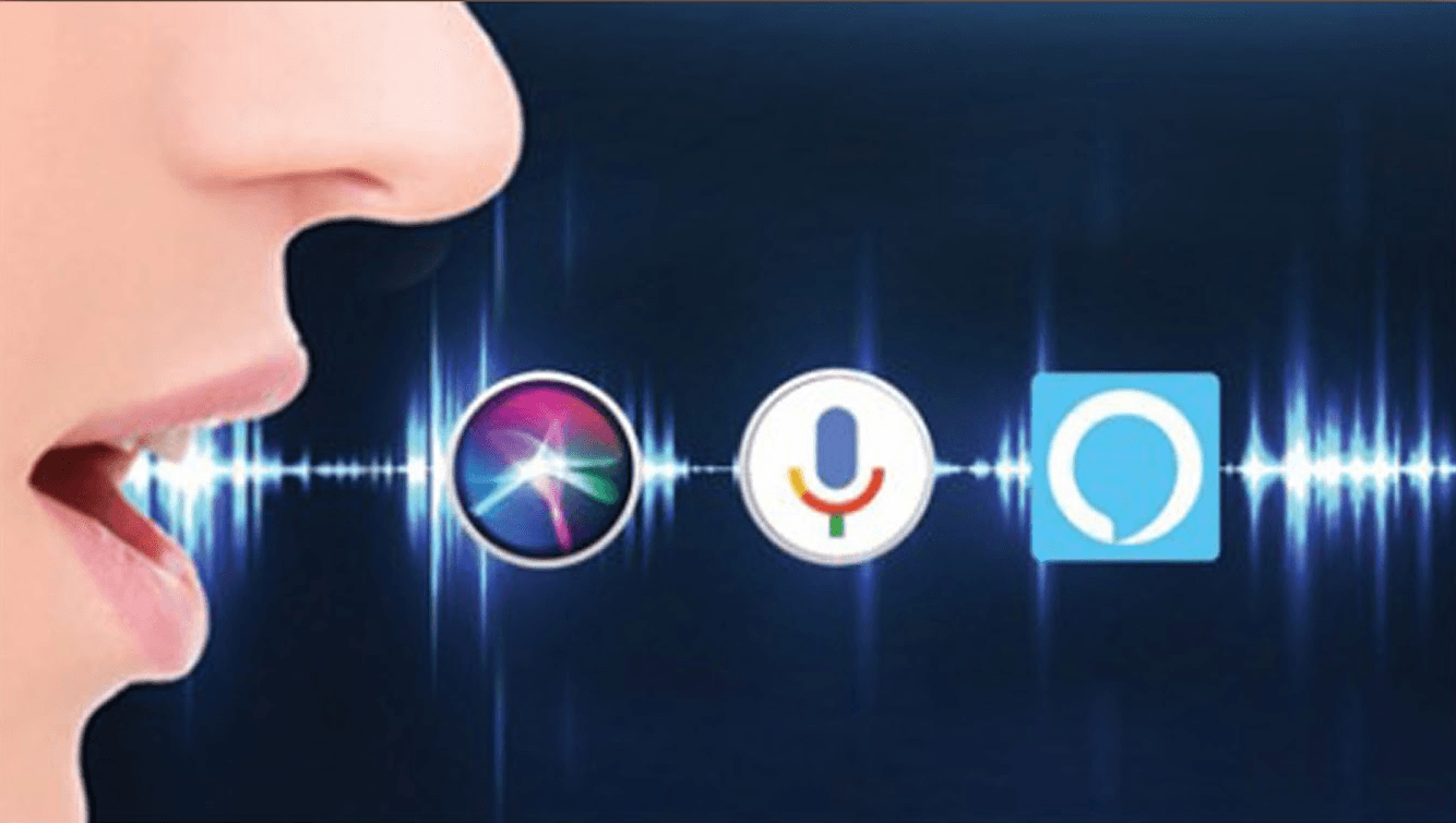 Voice Assistant Integration(Alexa/Google)